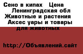 Сено в кипах › Цена ­ 130 - Ленинградская обл. Животные и растения » Аксесcуары и товары для животных   